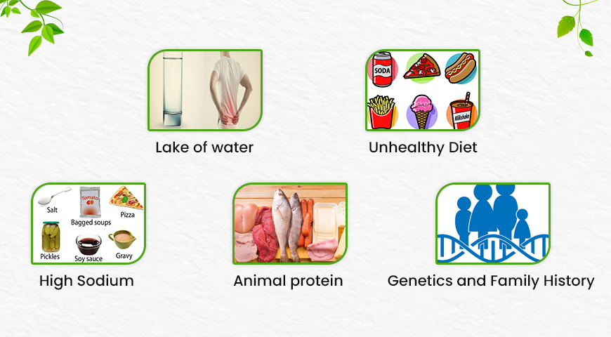 Factors of Kidney Stones