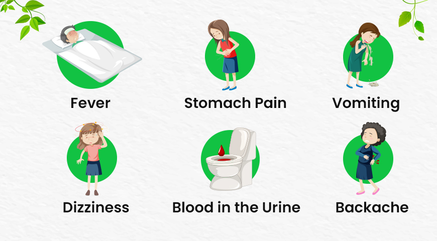 Symptoms and signs of Kidney Stone